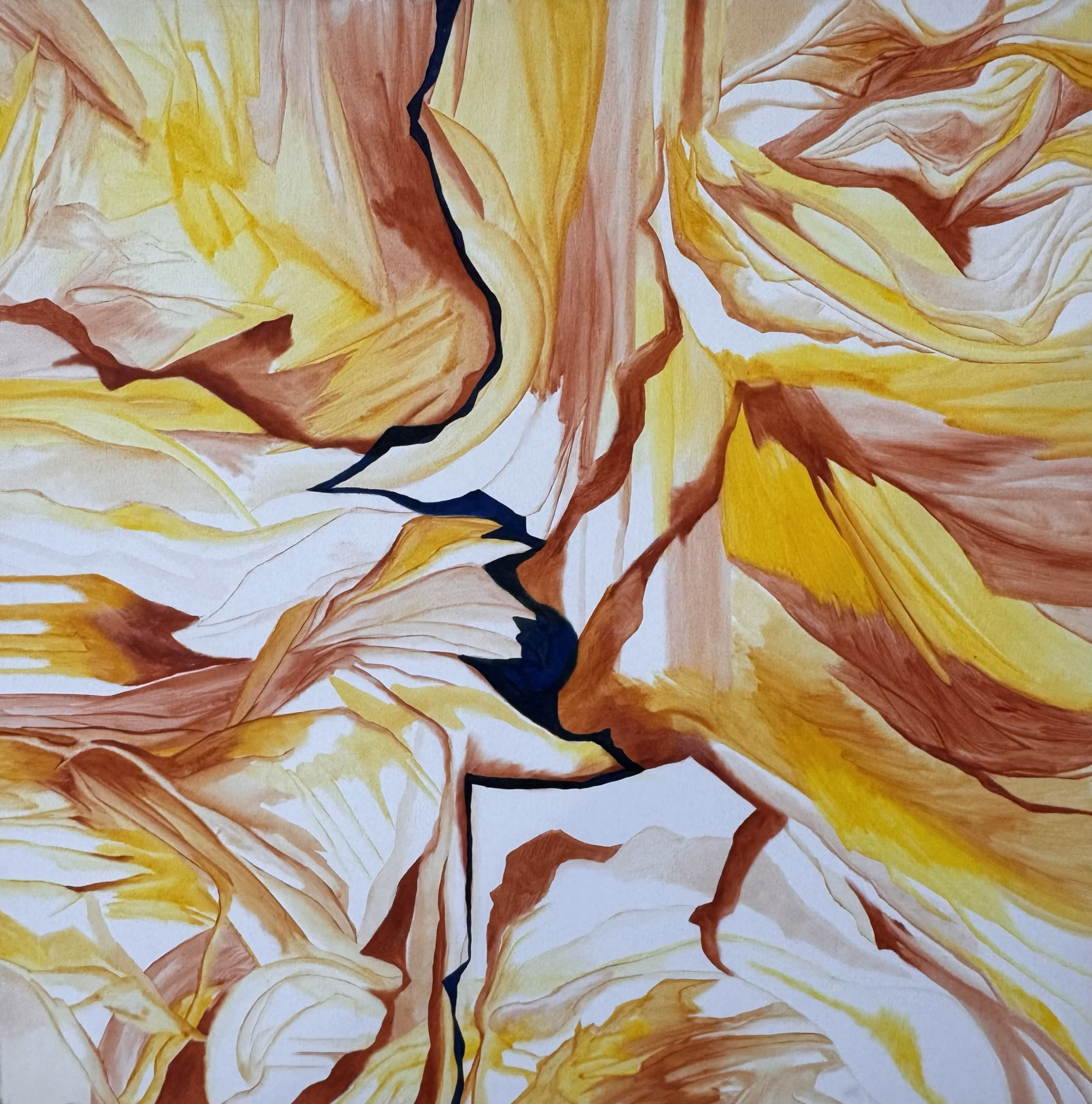 IMG_2455